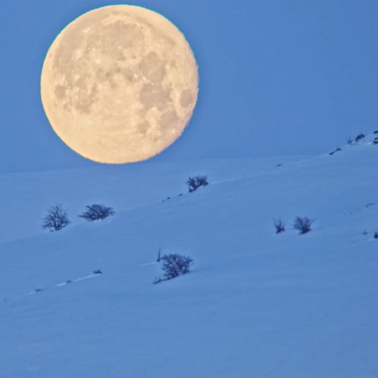 Karlı dağlar ile dolunay aynı karede