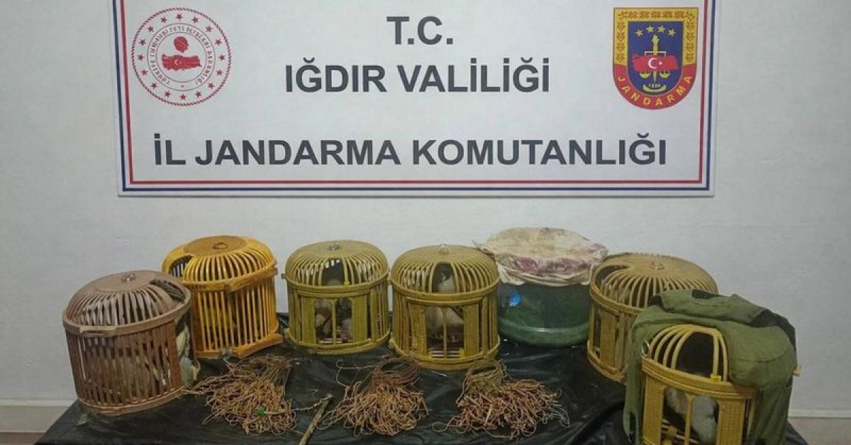Iğdır'da Kelebekler ve Tuzaklarla Avlanma Cezası