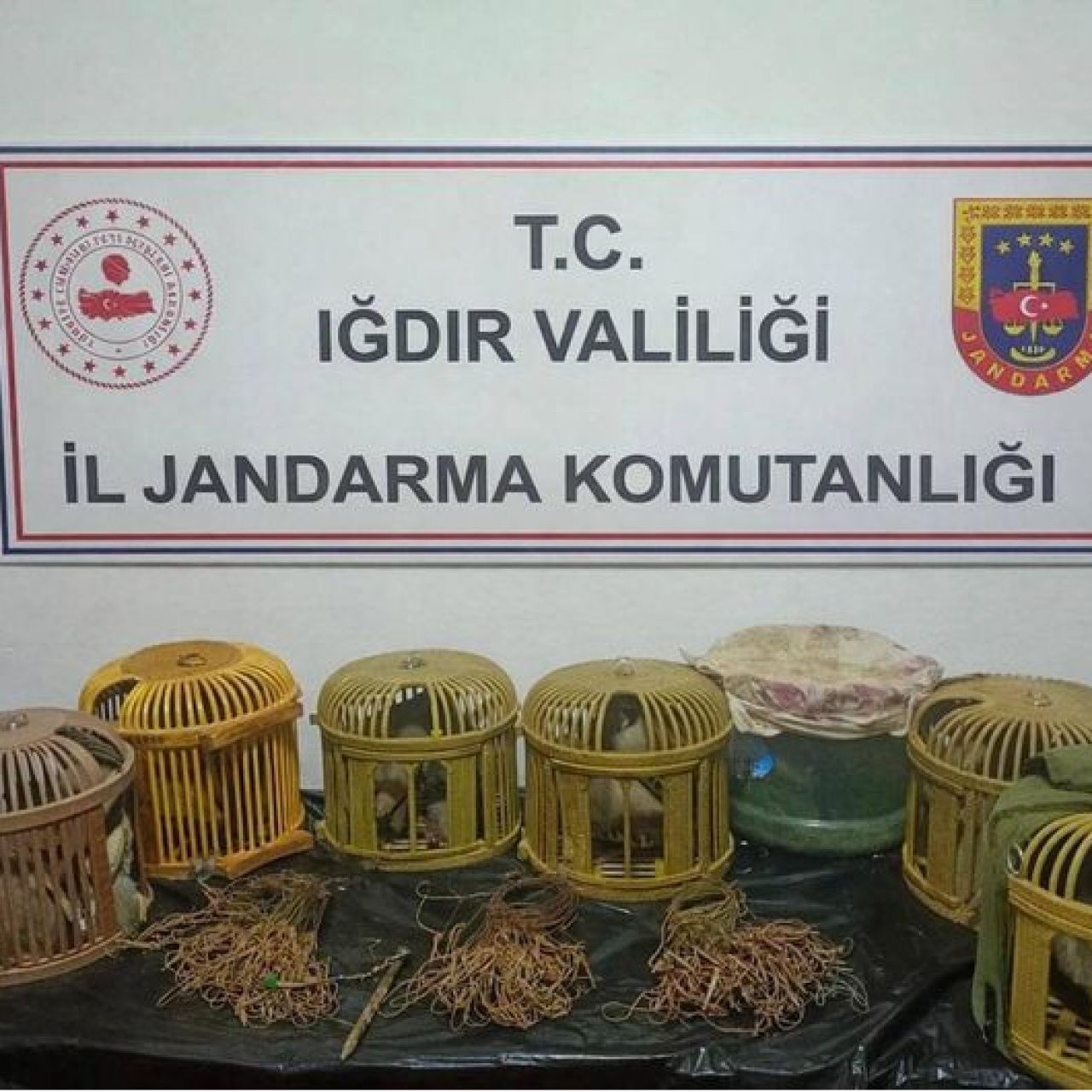 Kaçak keklik avına 175 bin lira ceza