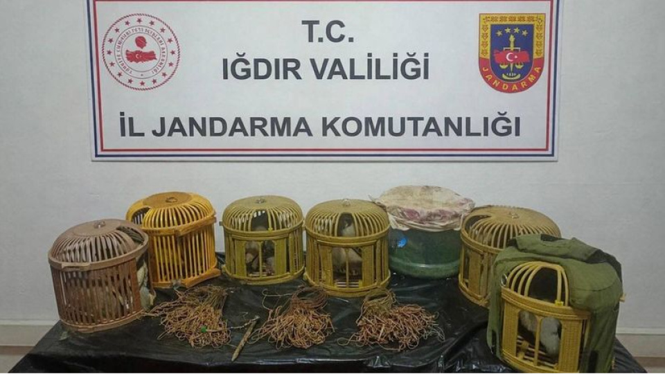 Kaçak keklik avına 175 bin lira ceza