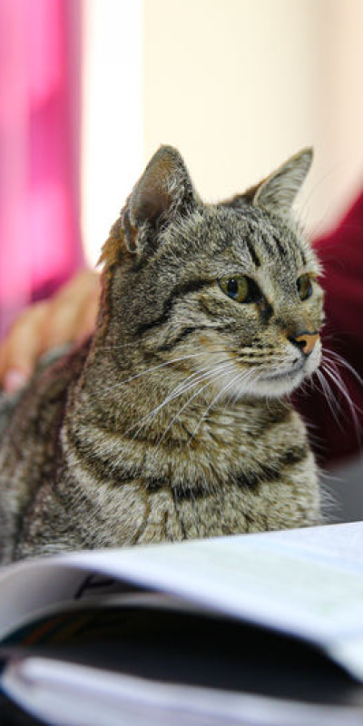 Okulun 470'inci öğrencisi: Pakize