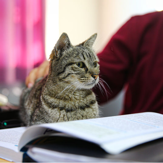 Okulun 470'inci öğrencisi: Pakize