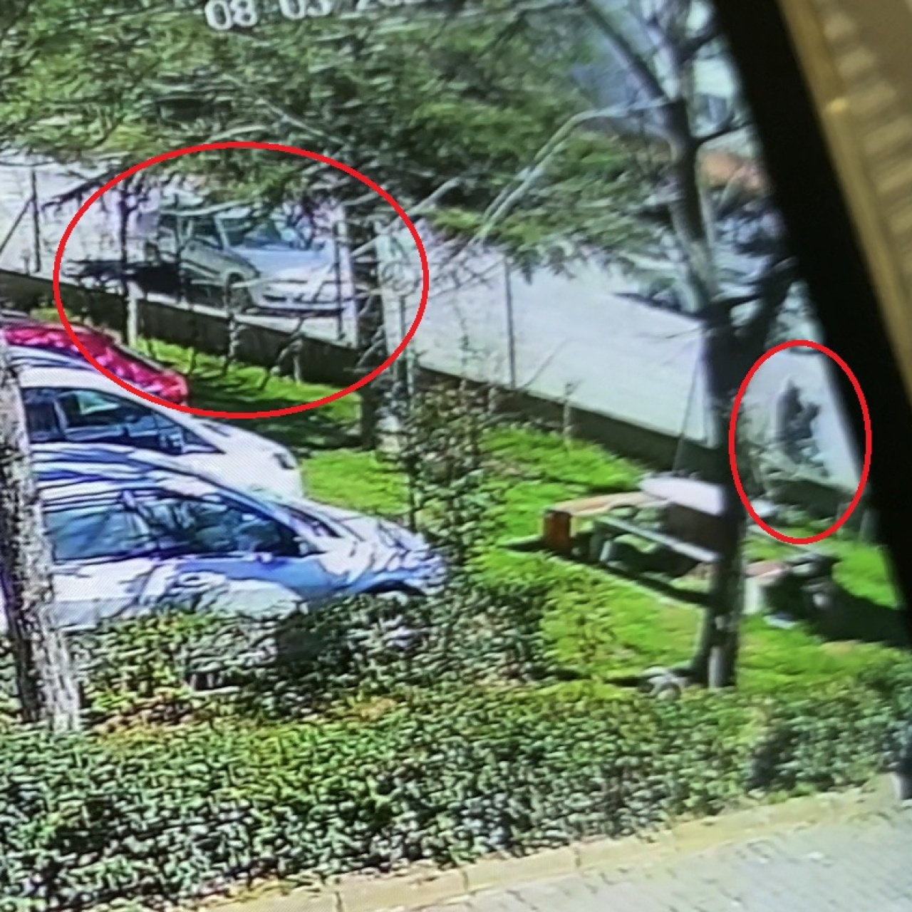 El frenini unuttu, dehşete yol açtı!