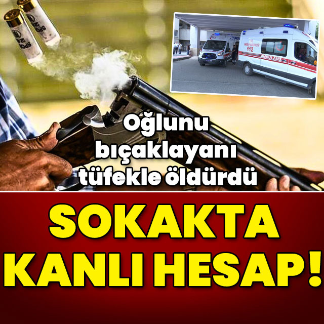 Oğlunu bıçaklayan kişiyi tüfekle öldürdü!