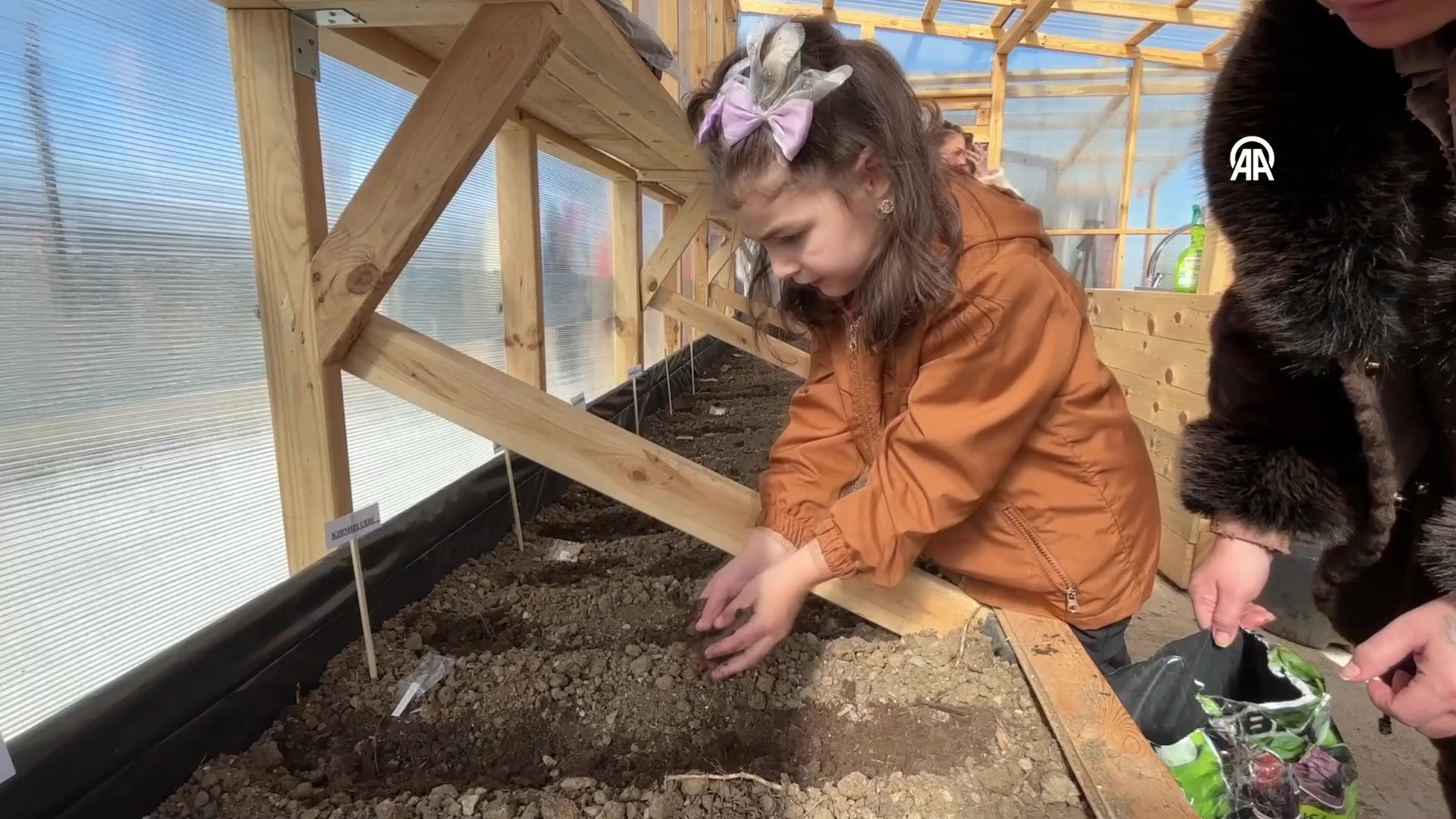 İlkokul öğrencileri ata tohumlarına sahip çıktı | …