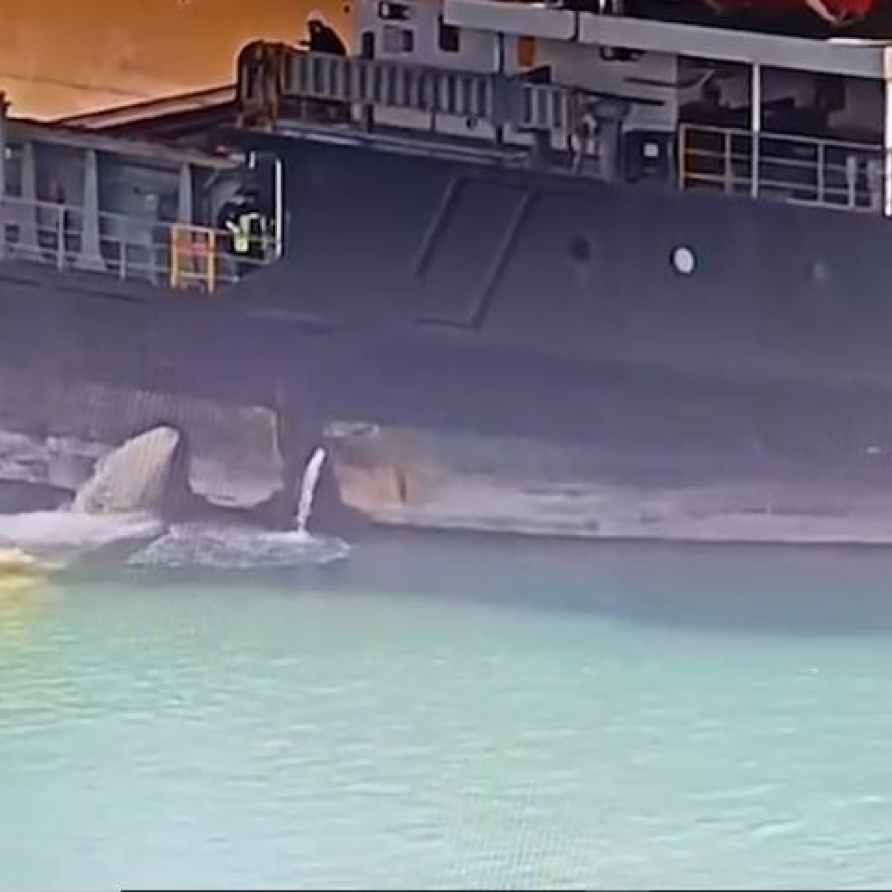 Kirli balasta rekor ceza