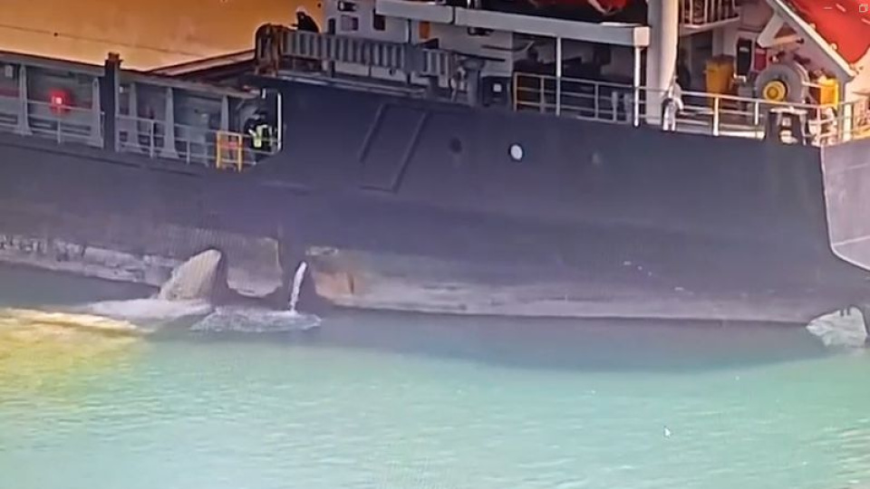 Kirli balasta rekor ceza