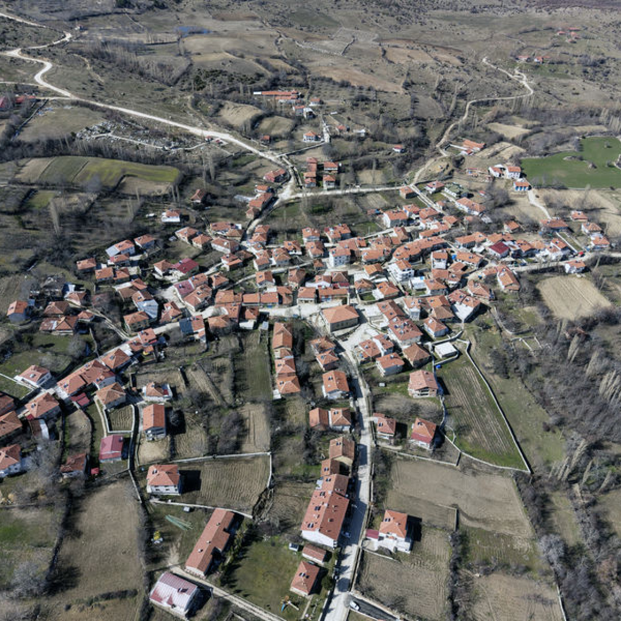 Türkiye'nin 'En Yeşilaycı Köyü'