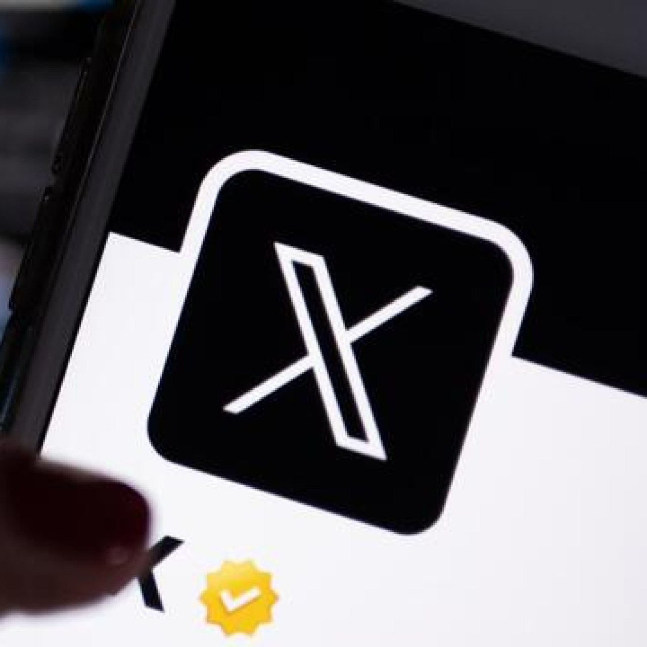 X, bir yılda 800 milyon hesabı askıya aldı