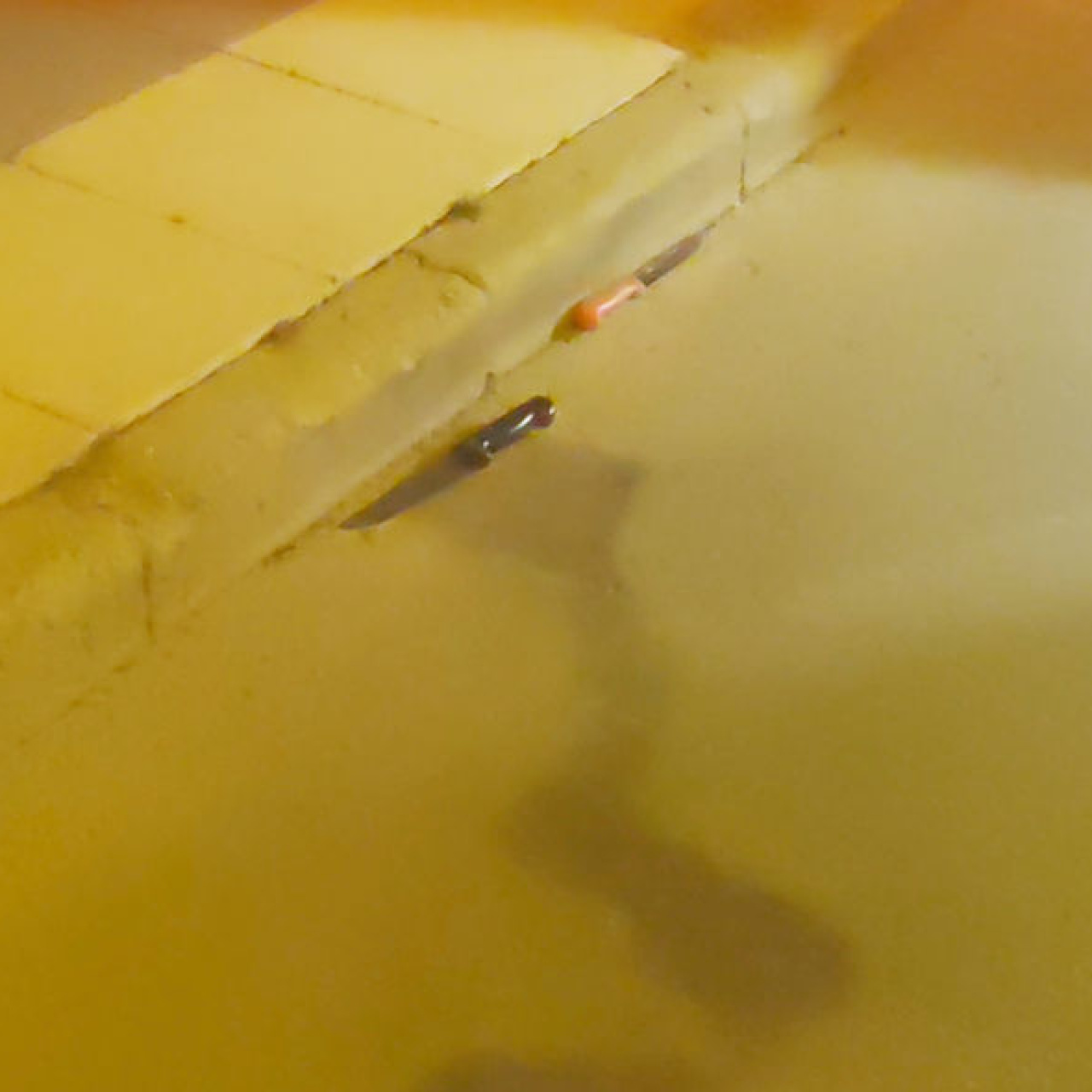 Aksaray'da akran cinayeti... İkisi de 16 yaşında!