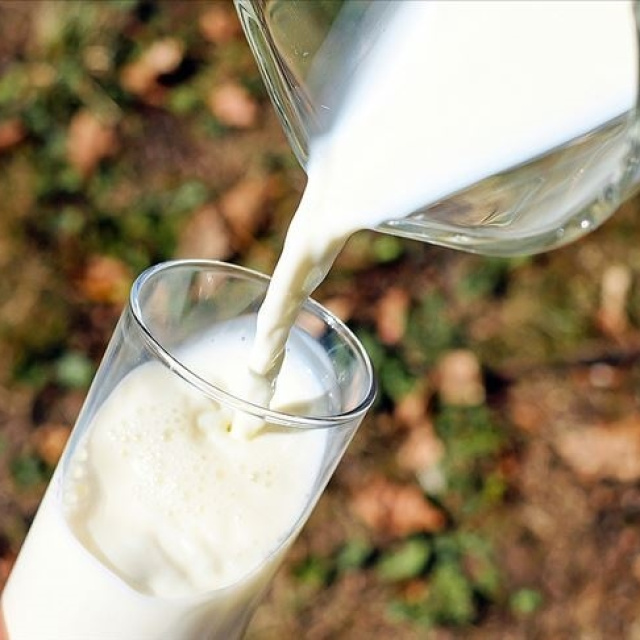 "Çiğ süt üretim maliyeti yüzde 8,9 arttı"