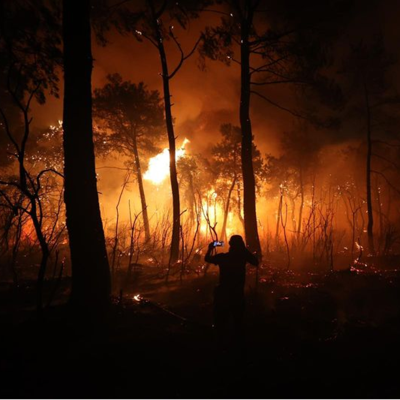 Antalya'da orman yangınlarına karşı yeni plan