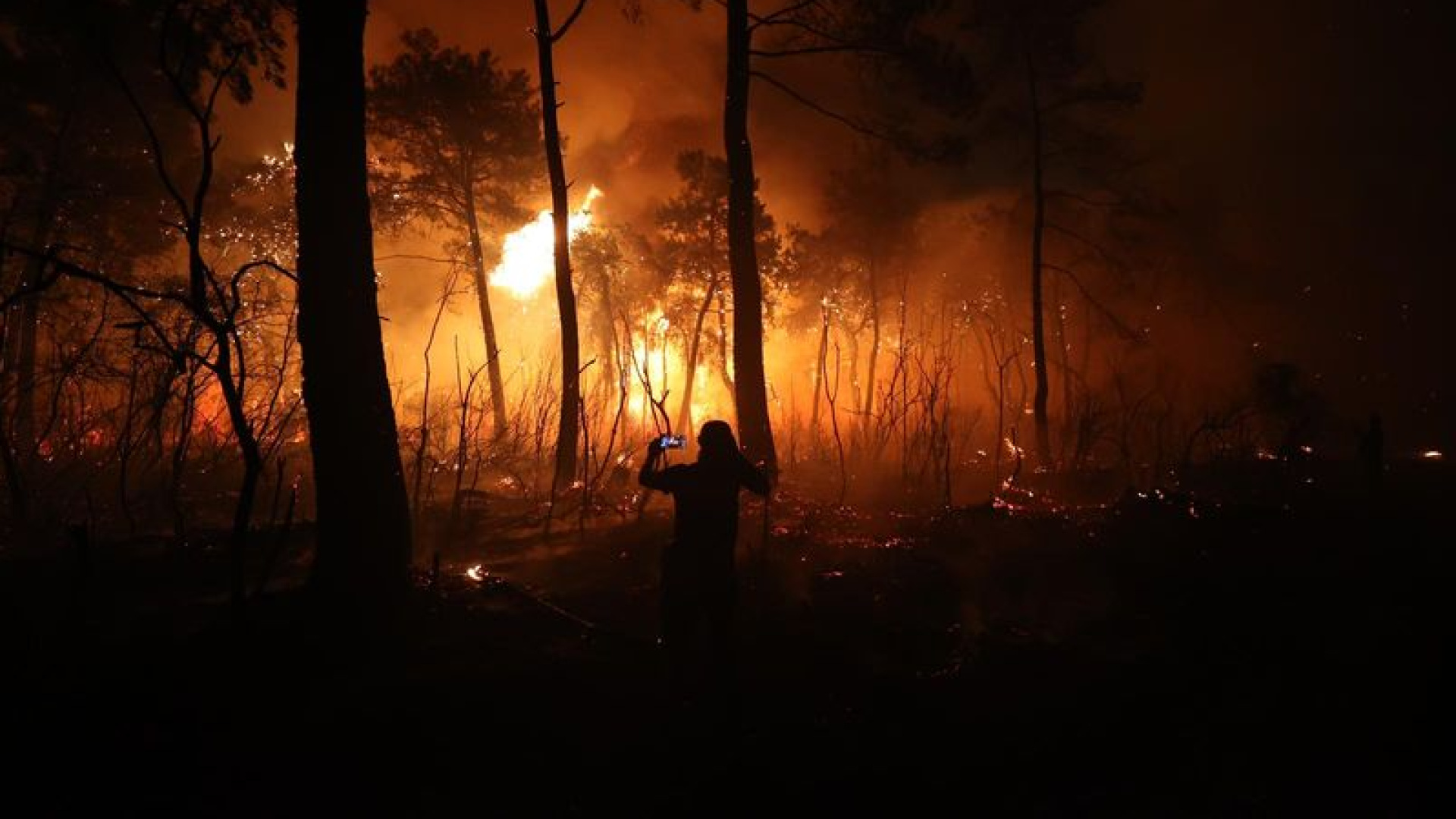 Antalya'da orman yangınlarına karşı yeni plan | Son dakika haberleri