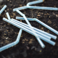 Tek kullanımlık plastikler yasaklanacak