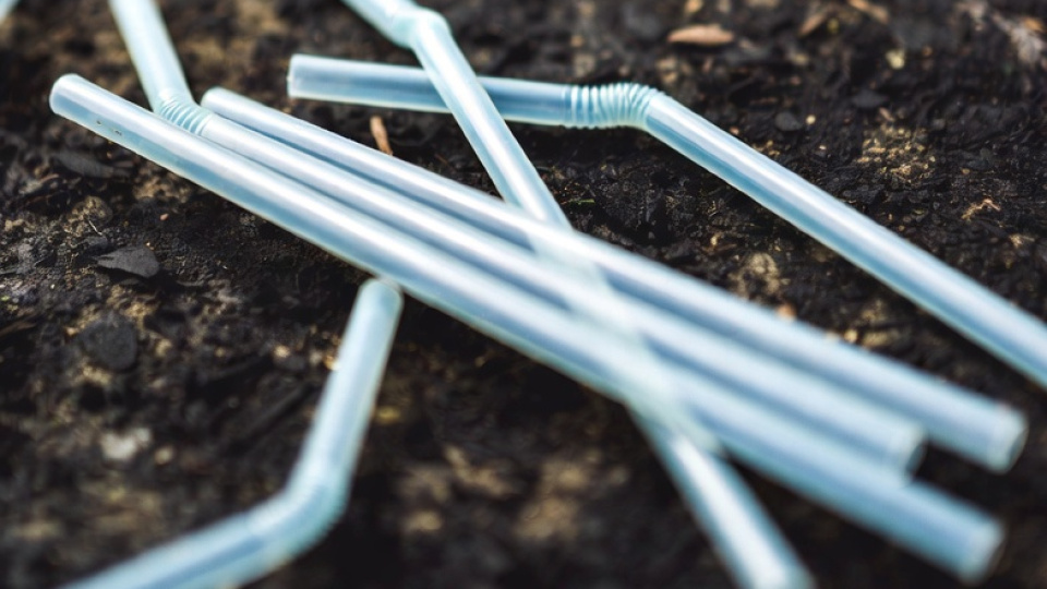 Tek kullanımlık plastikler yasaklanacak