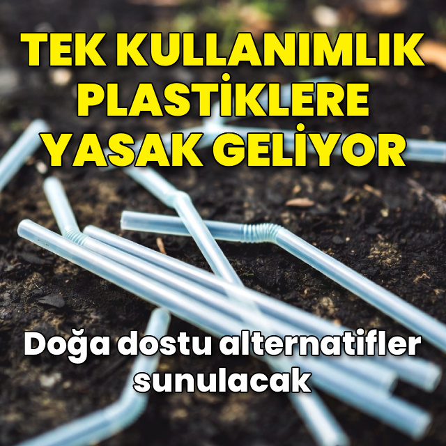 Tek kullanımlık plastikler yasaklanacak