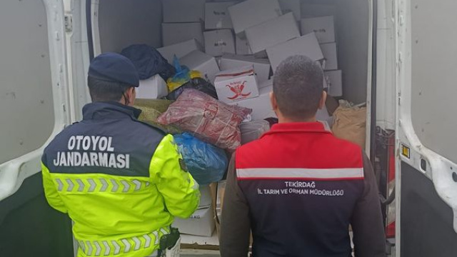 2 ton sağlıksız Antep fıstığı imha edildi