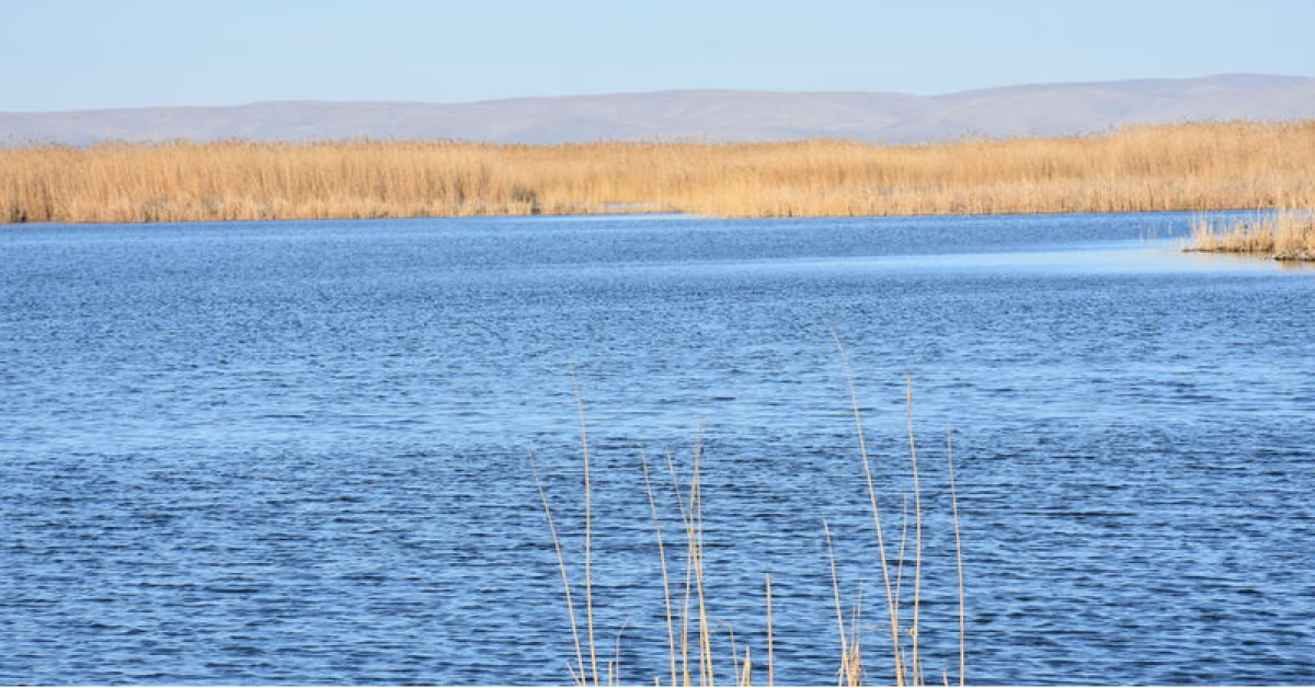 Sıfır Atık Vakfı, Eber Gölü için Eylem Planına Katkıda Bulunuyor