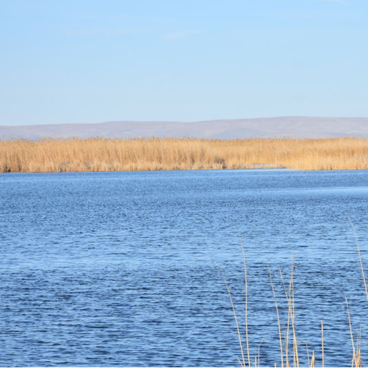 Sıfır Atık Vakfı, Eber Gölü eylem planına katkı sağlayacak