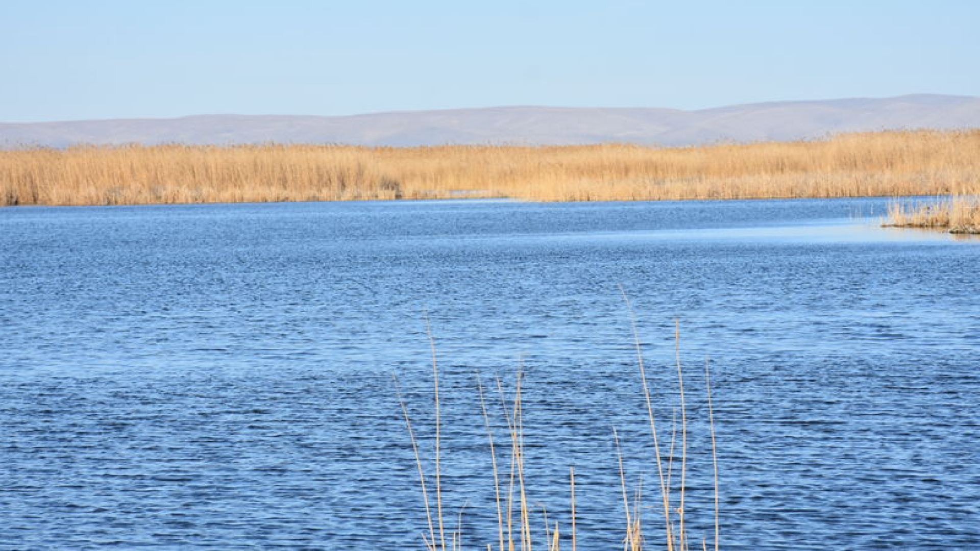 Sıfır Atık Vakfı, Eber Gölü'nün eylem planına katkı sağlayacak | Son dakika haberleri