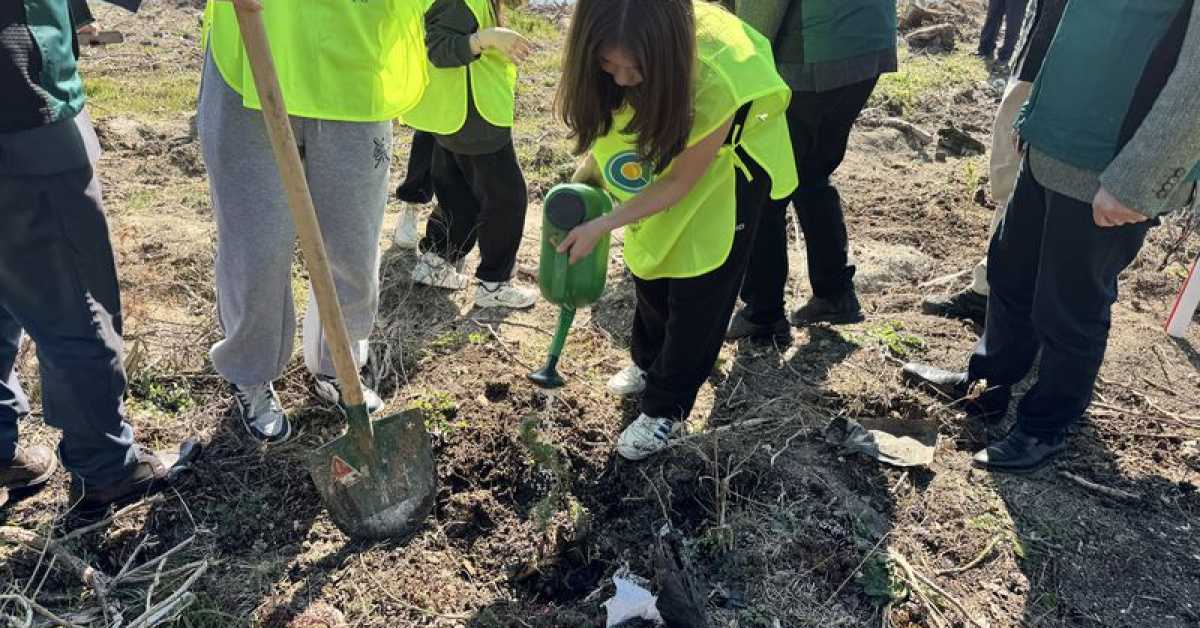 Bursa'ya Hatıra Ormanı: Ümraniye ile ÇEKUD İşbirliğiyle