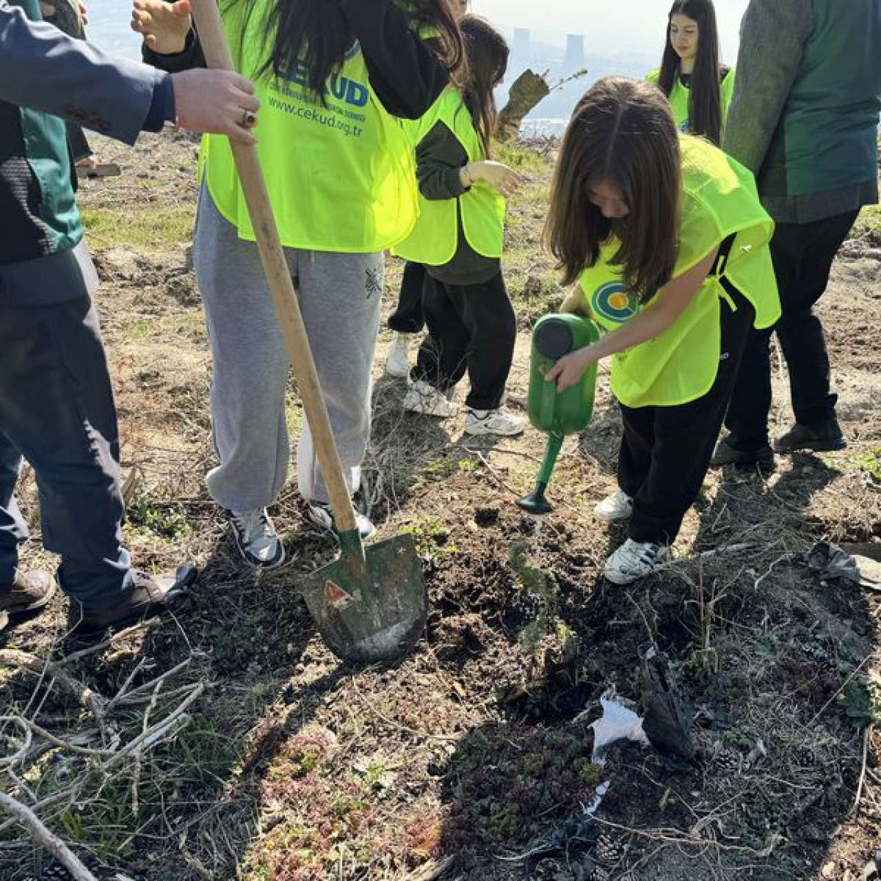 Ümraniye'den Bursa'ya yaklaşık 10 bin fidan