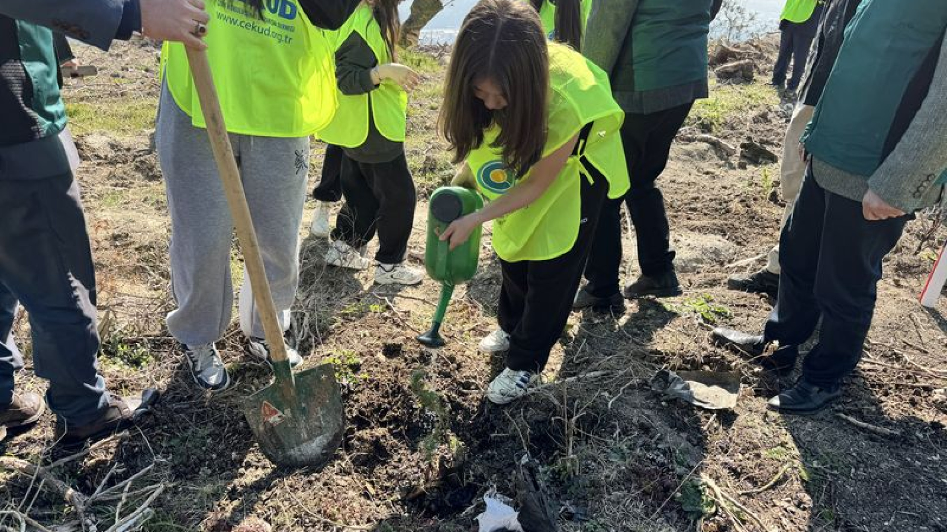 Ümraniye'den Bursa'ya yaklaşık 10 bin fidan | Son dakika haberleri