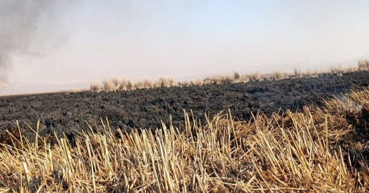 Yangın Sultan Sazlığı Milli Parkı'nda 4 günde söndürüldü