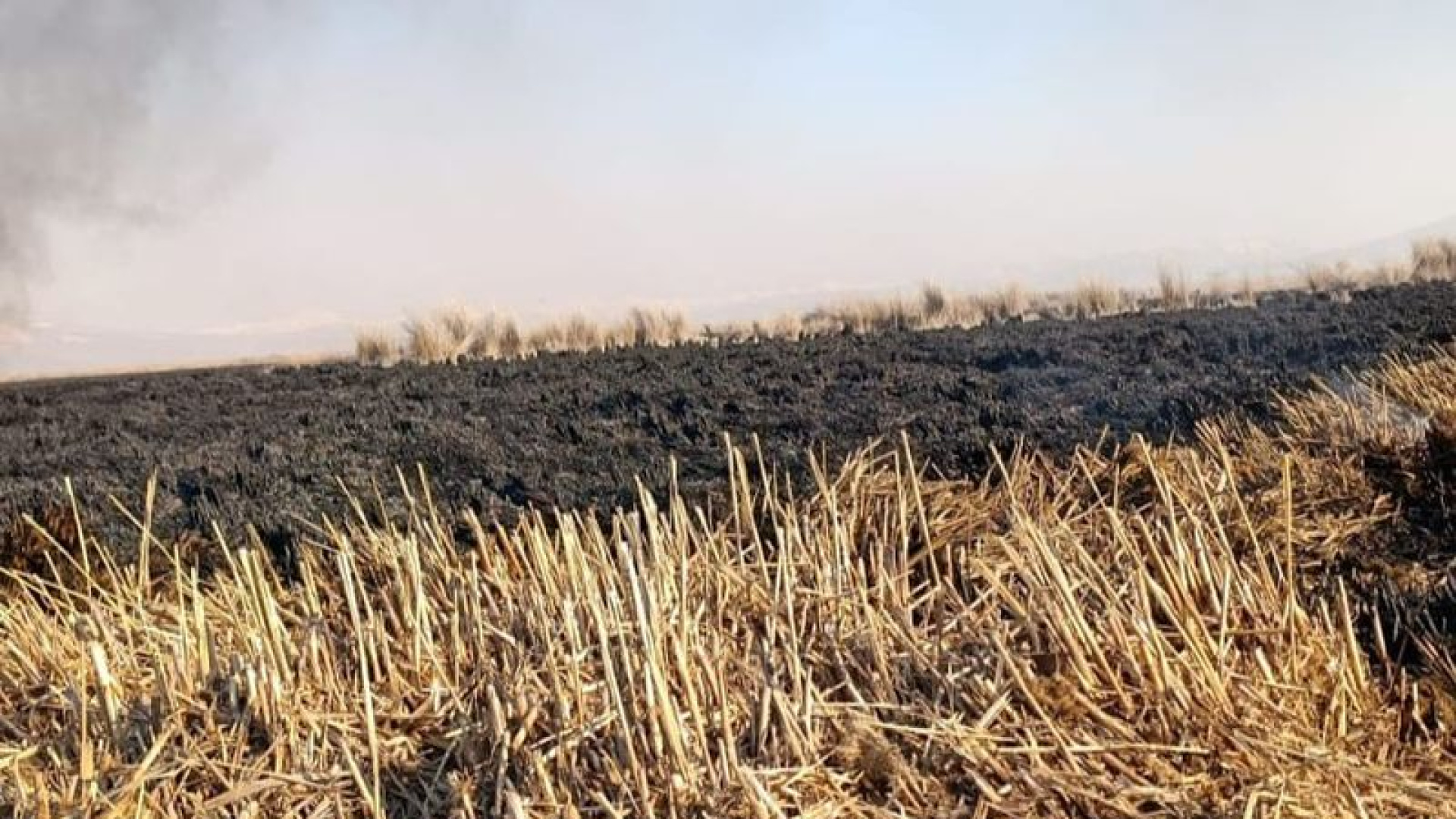 Sultan Sazlığı Milli Parkı'ndaki yangın 4 günde söndürüldü