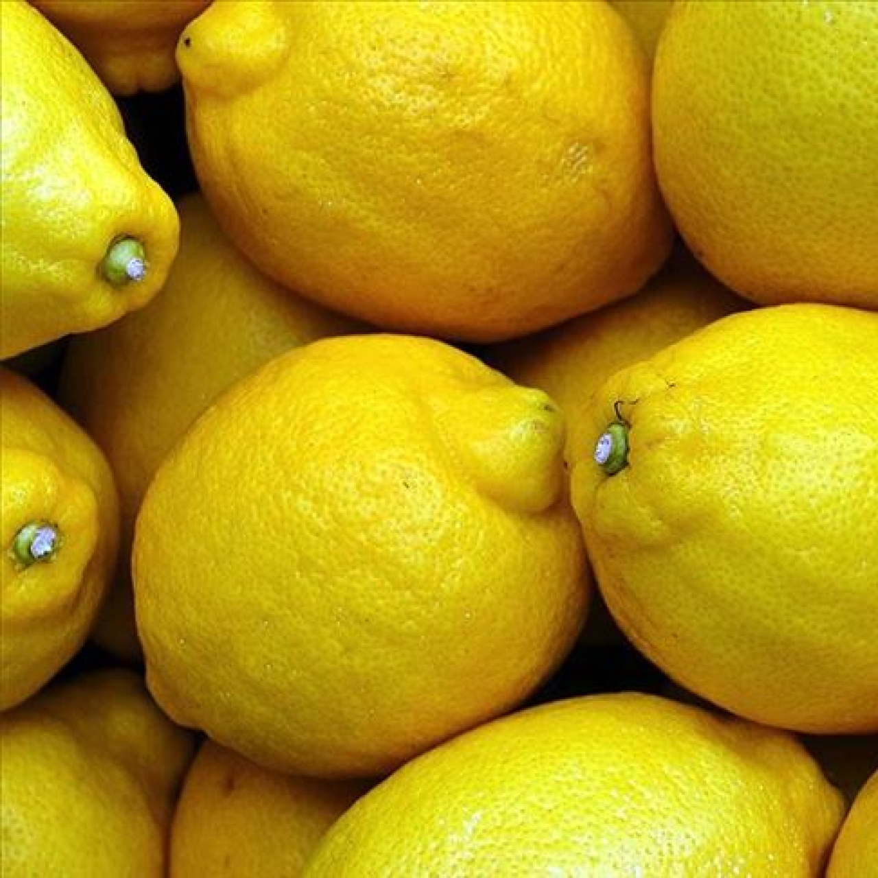 Limonda gümrük vergisi yeniden düzenlendi