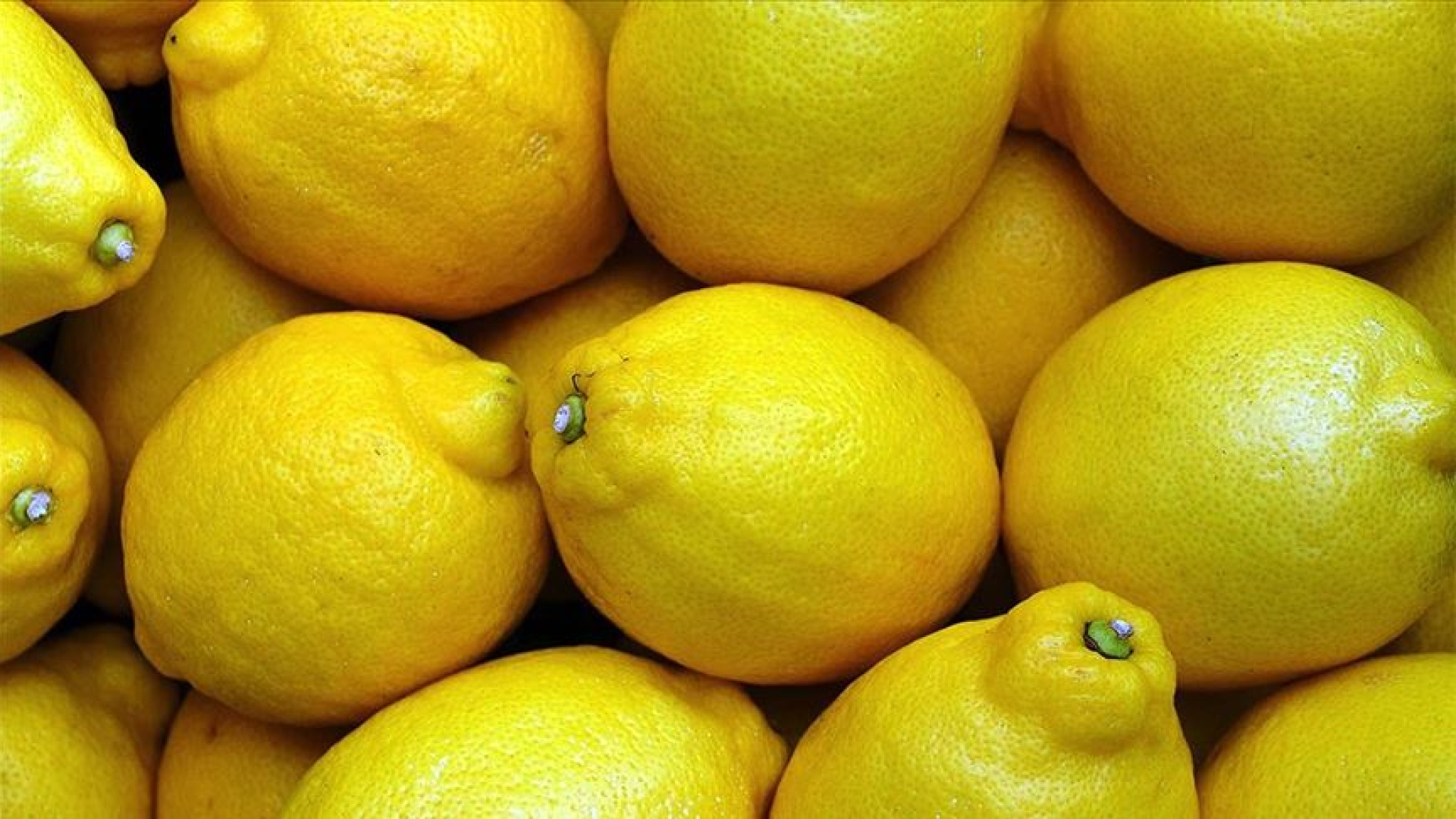 Limon İthalatında Gümrük Vergisi Düzenlemesi: 31 Temmuz'a Kadar Yüzde 10