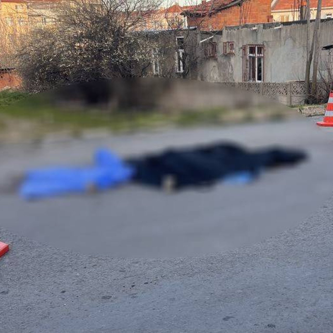 Çöp toplarken kamyonun altında can verdi
