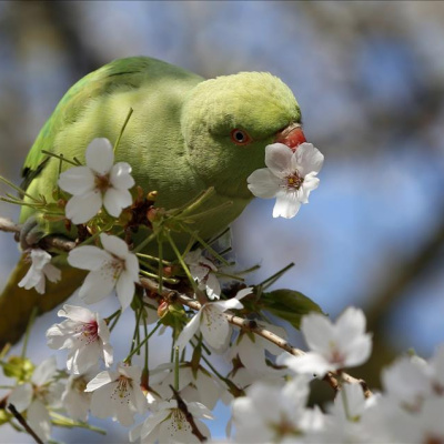 Mart Ekinoksu ne zaman?