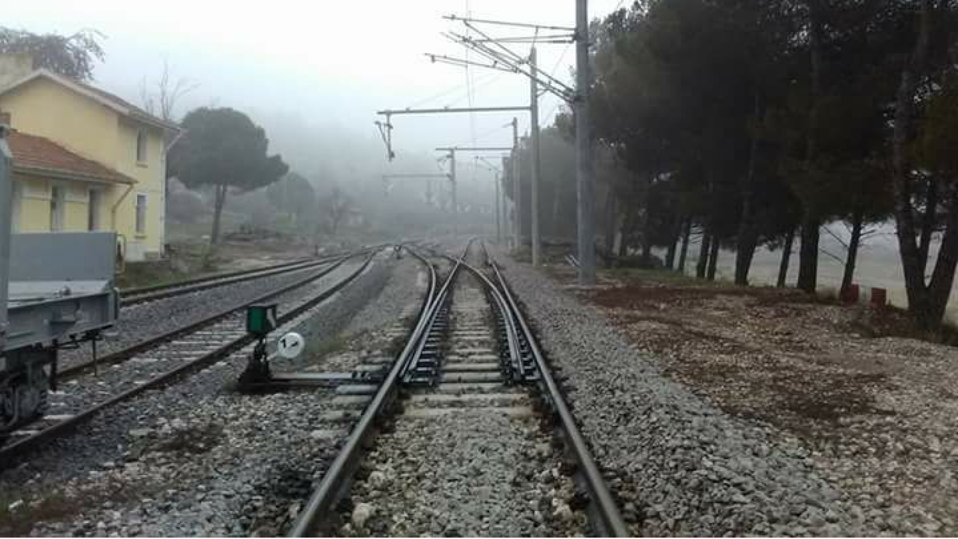 TCDD Ot Mücadelesi Kapsamında Üç Ana Hat Üzerinde İlaçlama Yapacak