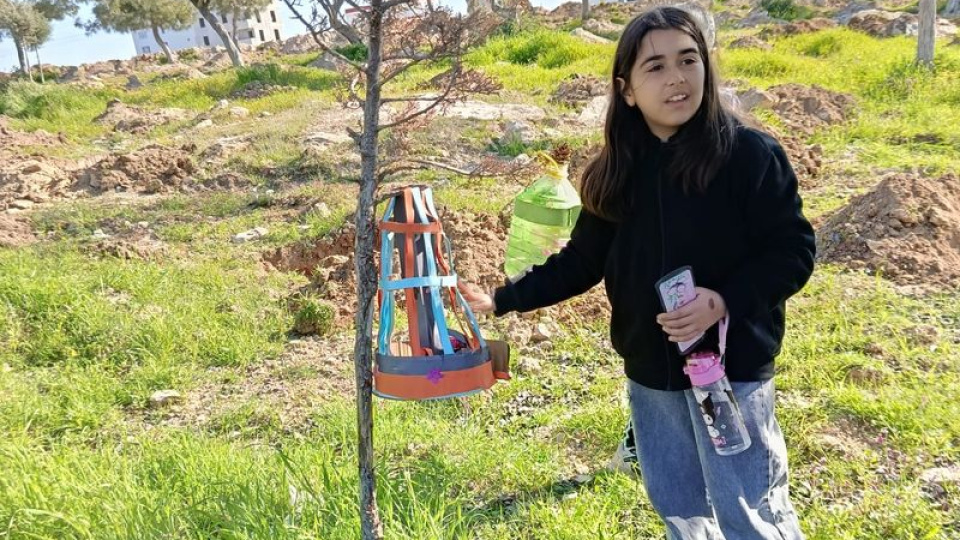 Mersin'de doğaya kuş yuvaları bıraktılar