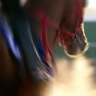 Sakatlanan yarış atı kavurma yapıldı iddiası!