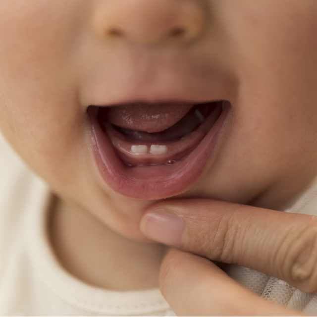 Bebeğin ilk dişlerinin kritik önemi ne?
