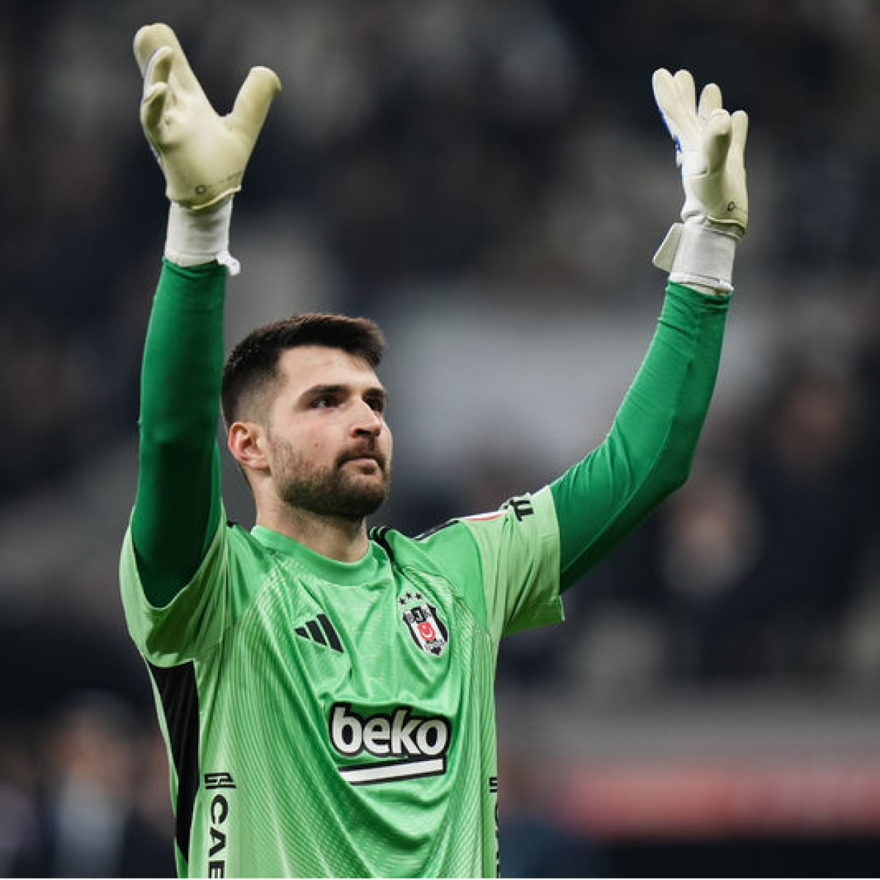 Her şeye rağmen Ersin!