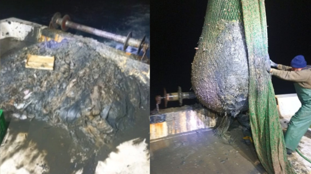 Foçalı balıkçılardan "dip çamuru" tepkisi