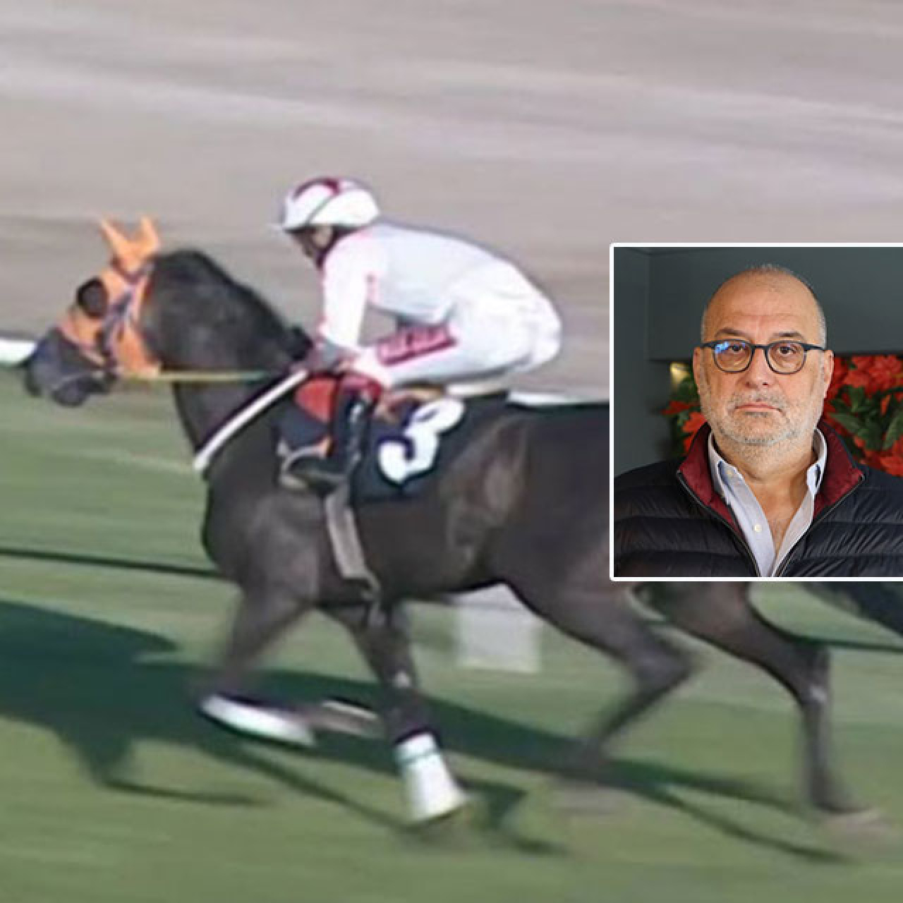 Kavurma, İngiliz yarış atı çıkmıştı! Sahibine 132 bin TL ceza!