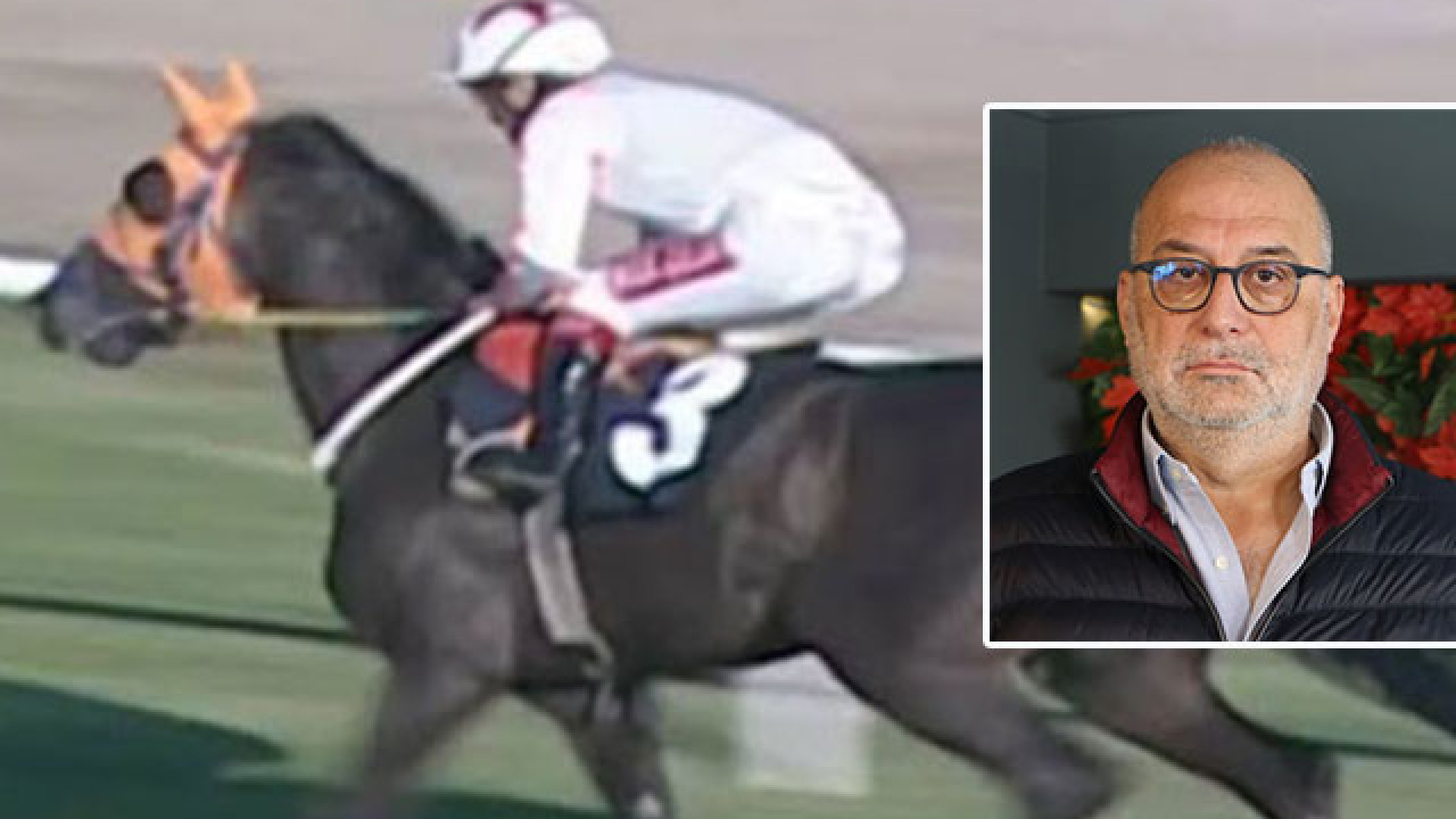 SON DAKİKA: Kavurma, İngiliz yarış atı çıkmıştı! Sahibine 132 bin TL ceza | Adana haberleri | Son dakika haberleri