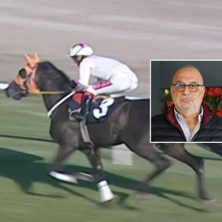 Kavurma, İngiliz yarış atı çıkmıştı! Sahibine 132 bin TL ceza!