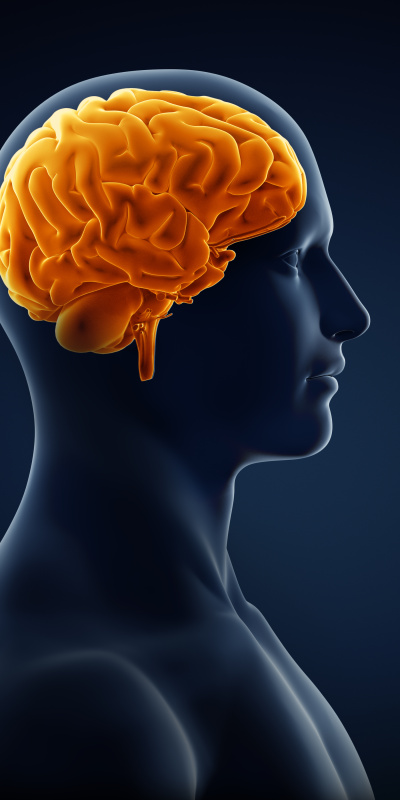 Alzheimer riski yüzde 45 azaltılabiliyor