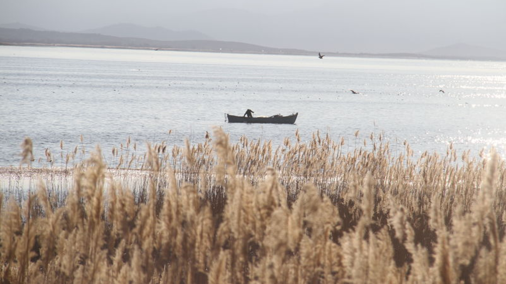 Beyşehir Gölü'nde av yasağı başlıyor | Son dakika haberleri