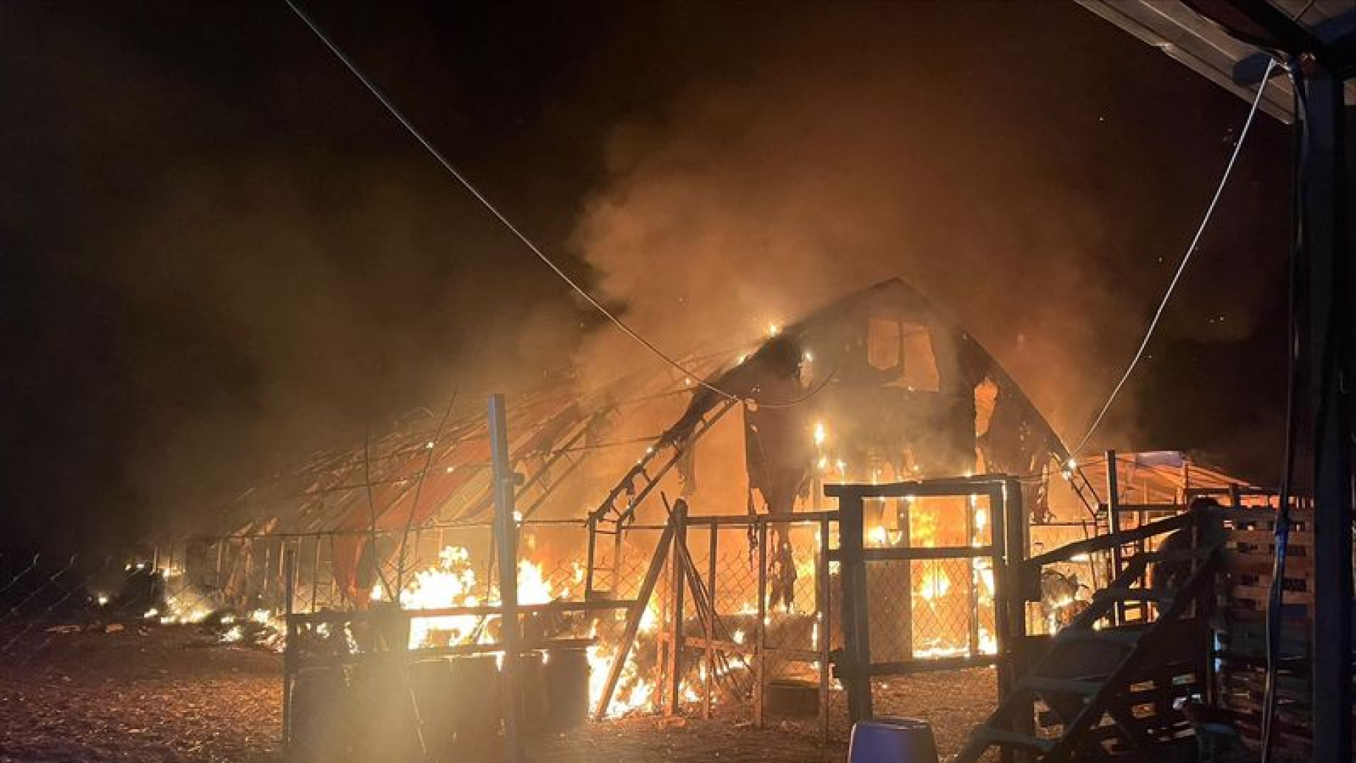 Bursa'da çiflik alevlere teslim oldu | Son dakika haberleri