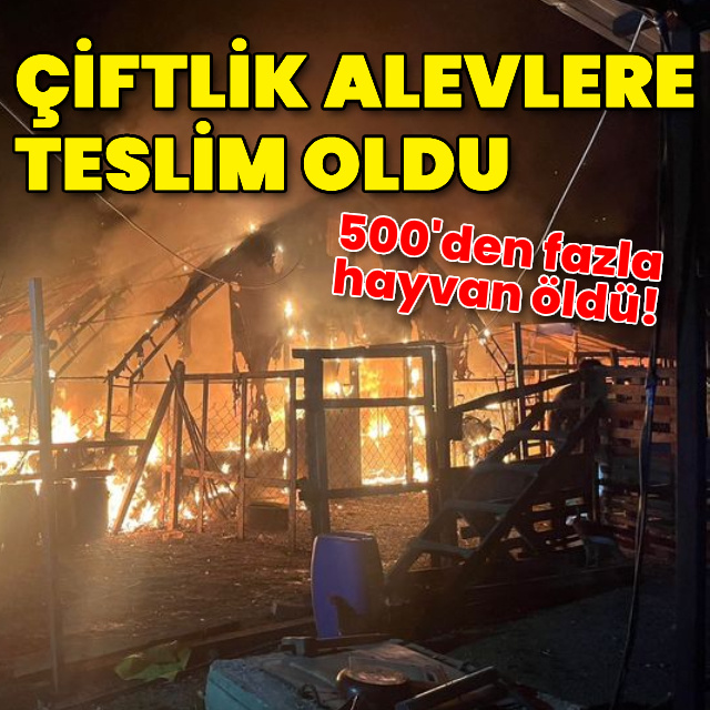 Bursa'da çiflik alevlere teslim oldu