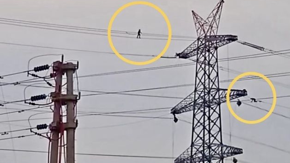 Görenler nefesini tuttu... Şov değil mesai!