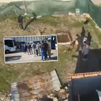 Cinayetin faili en yakını çıktı! İzmaritten katile...