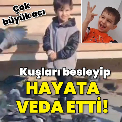 Kuşları besleyip hayata veda etti... Büyük acı!