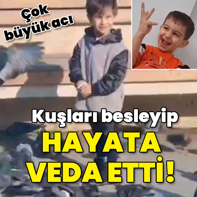 Kuşları besleyip hayata veda etti... Büyük acı!